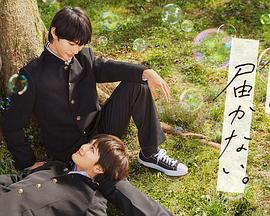 外贸网站优化云速捷靠谱